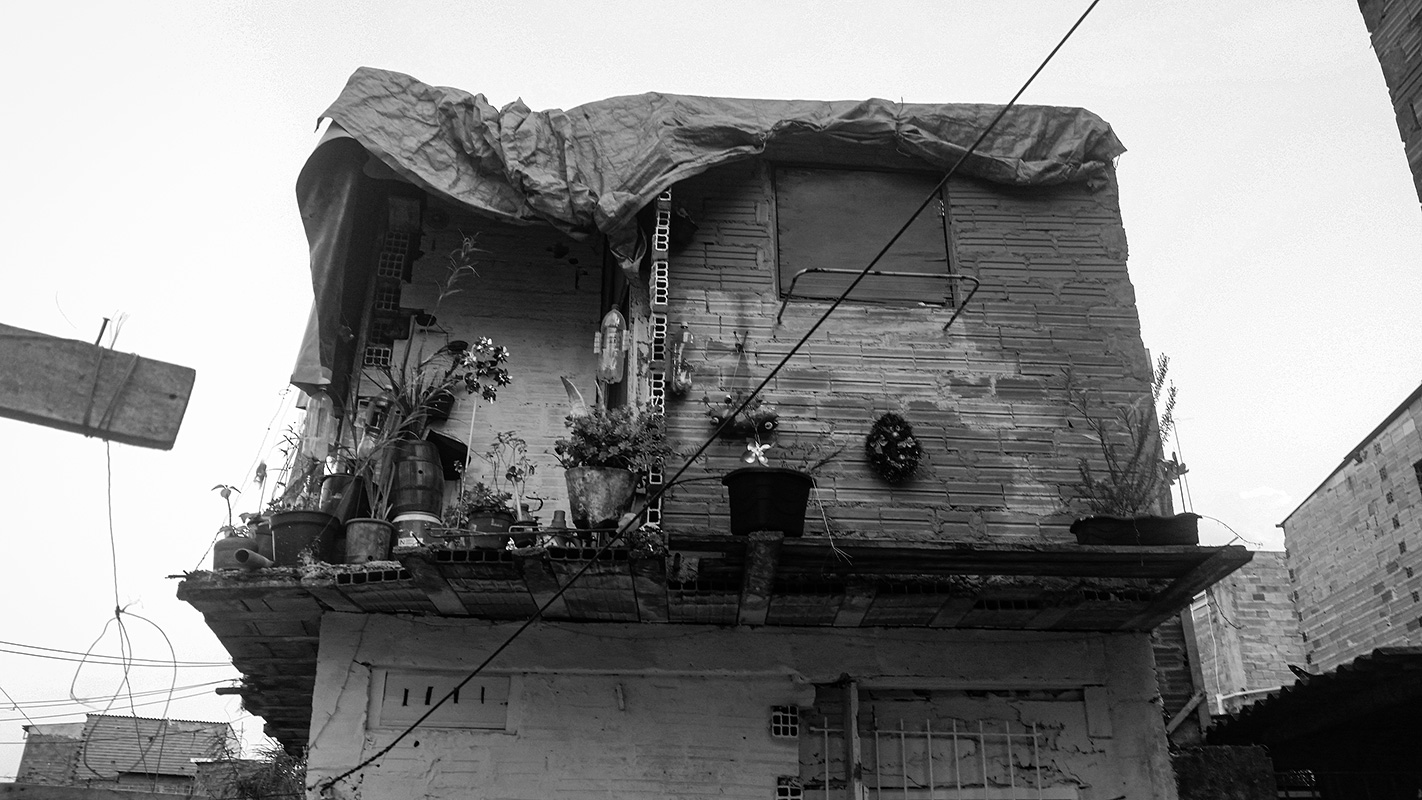 by Daniela Cordeiro