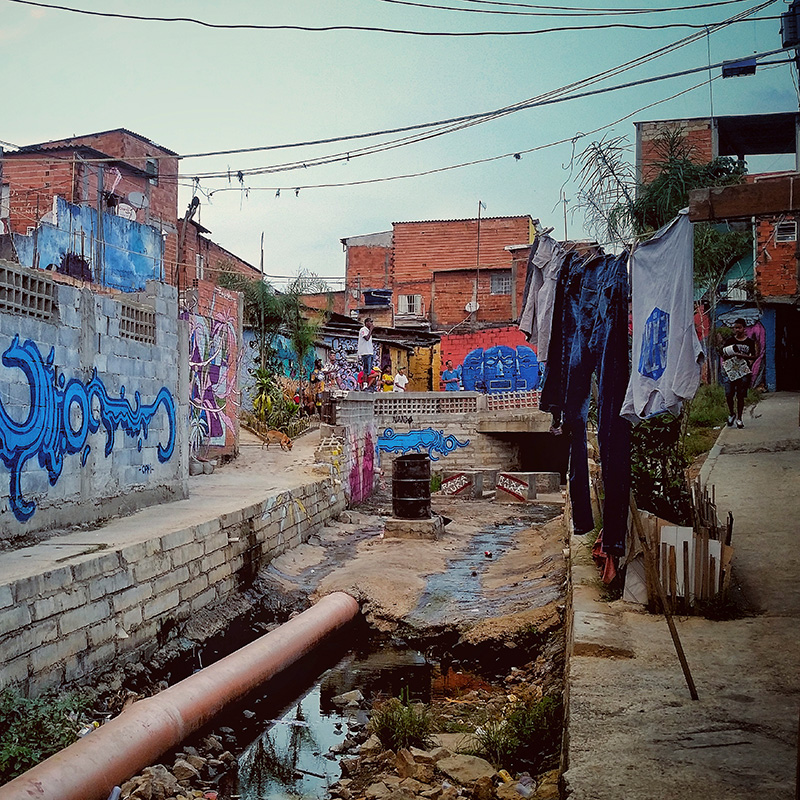 by Daniela Cordeiro
